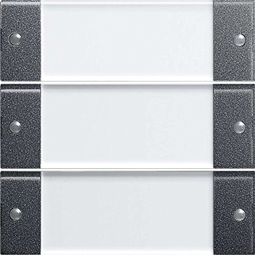 Gira 213328 Wippenset 3 Fach Beschriftungsfeld System 55, klar anthrazit