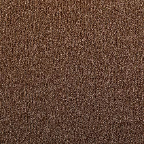 Clairefontaine 93865C Packung (mit 25 Bögen Zeichenpapier Etival Color, DIN A4, 21 x 29,7 cm, 160g, gekörnt, ideal für Trockentechnik und Einrahmen) kastanienbraun