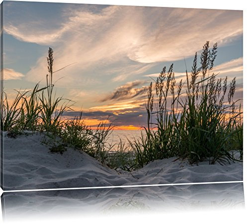 Pixxprint Gras am Strand bei Sonnenuntergang, Größe: 80x60cm, Leinwandbild, fertig gespannt, Wandbild, Dekoration, Kunstdruck, kein Poster