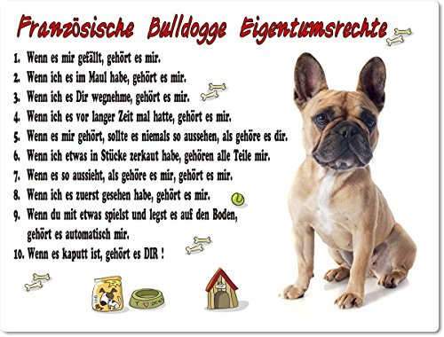 Blechschild / Warnschild / Türschild - Aluminium - 15x20cm Eigentumsrechte Motiv: Französische Bulldogge (08)