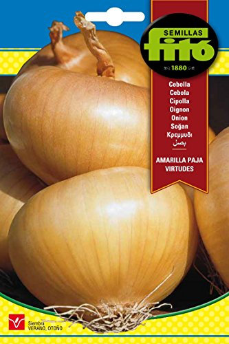 Semillas Fitó 44 - Semillas de Cebolla Amarilla Paja Virtudes