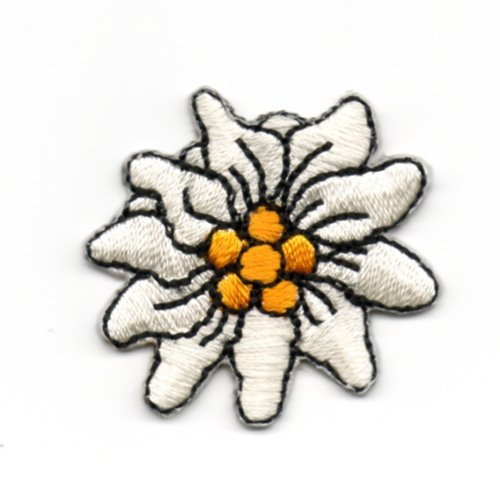 2 Aufnäher Bügelbild Aufbügler Iron on Patches Applikation Edelweiss Durchmesser 2,5cm vor55-3