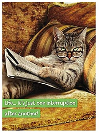 Tabby Cat Reading Newspaper Any Occasion Humour Card