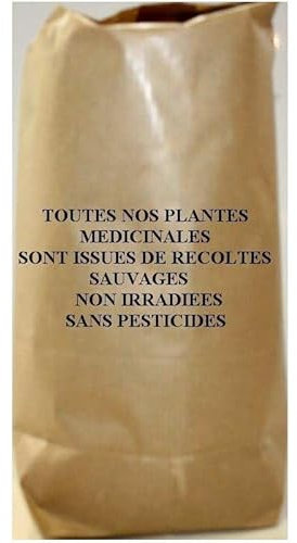 Tisane Lierre terrestre plante 250 GRS Glechoma hederacea
