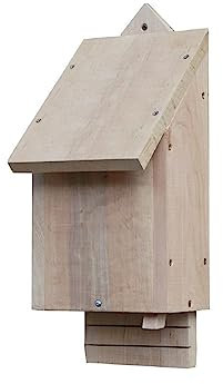 Wildlife World Chavenage Bat Box