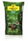 Loretta 57780 Sportrasen 10 kg (Rasensamen)