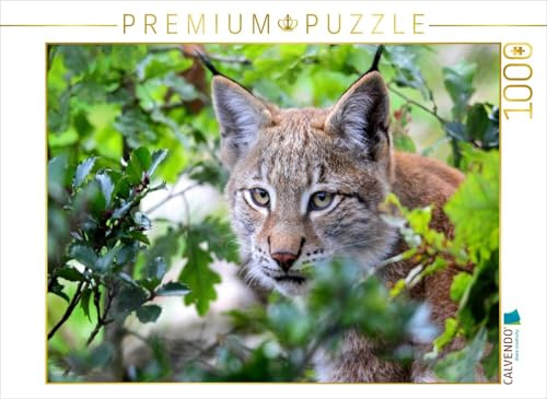 CALVENDO Puzzle EIN Motiv aus dem Kalender Der Luchs - Der Jäger auf leisen Pfoten | 1000 Teile Lege-Größe 64 x 48 cm Foto-Puzzle für glückliche Stunden