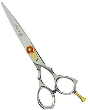 Gifaz - Ciseaux de coiffure Inox Professional en acier inoxydable avec tranchant rasoir