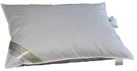 Betten Hofmann Sibiria Exclusiv Kopfkissen Federkissen 70x90 cm sibirische Wildgans 15% Daunen
