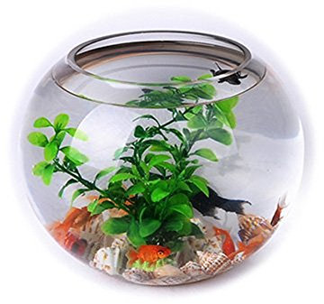 Ardisle Large Fish Bowl Bubble Bowl Glass Table Centrepieces Gold Fish Clear Tank Vase 21cm x 25cm