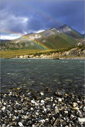 Poster A double rainbow arches over the Kongakut river landcapse - Arctic National Wildlife Refuge von Jim Goldstein / Danita Delimont - hochwertiger Kunstdruck, neues Kunstposter im Format 40 x 60 cm