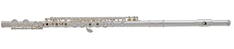 Roy Benson Querflöte FL-402R (Hochwertig, Neusilber-versilbertes Musikinstrument, mit Premium Ringklappen & Inline-Design, für optimales Spielgefühl, Inklusive Holzetui, Wischerstab & Putztuch)