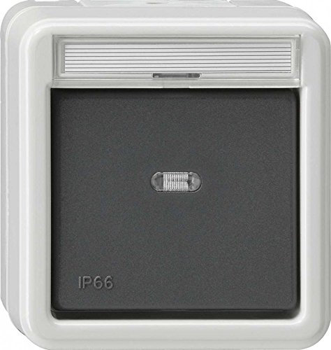 Gira 010631 Wippschalter Wechsel WD Aufputz, grau