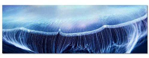 PANORAMA BILD in 150x50cm (tiefes Blau) TOP Bilder! Wandbild xxl günstig & modern ART PRINT Wandbilder Bilder EXKLUSIVES Fotowandbild auf Leinwand und Keilrahmen Bild Leinwandbild Fotodruck modern Zeitlos Stilvoll wie ein Gemälde Ausführung schöner Kunstdruck auf echter Leinwand als Wandbild mit Rahmen. Preiswerter als Ölbild Gemälde Foto Poster Plakat mit Bilderrahmen.