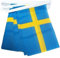 AZ FLAG Ghirlanda 6 Metri 20 Bandiere Svezia 21x15cm, Bandiera Svedese 15 x 21 cm - Festone Bandierine