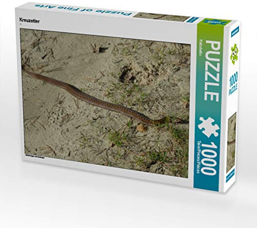 CALVENDO Puzzle Kreuzotter 1000 Teile Puzzle quer | 1000 Teile Lege-Größe 64 x 48 cm Foto-Puzzle für glückliche Stunden