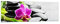 Panorama Bilder auf Glas 160x50cm Glasbild Pflanze Steine Bambus Spa Groß XXL Wanddeko Bild im Glas Schlafzimmer Küche Wandbilder Dekoration Wohnzimmer Modern Wand Kunstdruck Art GAB160x50-2681