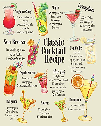 Classic Cocktail Recipes Metal Wall Sign 6x8inches Plaque Vintage Retro Poster Art Picture Print