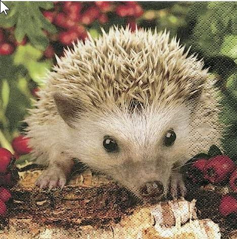 20 Servietten Barnie – Der Igel Barnie/Waldtiere/Tiere/Wald 33x33cm