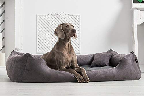tierlando Moritz VIP Hundebett Hundesofa M - XXXL 90 110 130 160 185 cm M4-V-02 Größe: M4 / L 100cm | Bezug: Velours | Farbe: 02 Graphit-Grau