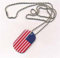 DOG TAG USA Erkennungsmarke Kette Grösse 30 x 50mm
