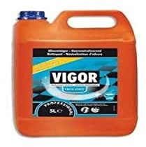 Vigor Fresh Force détergent surodorant, 5 L