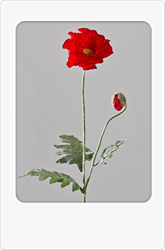Formano Kunstblume Mohn rot 68 cm mit großer Blüte, Knospe und geflockten Blättern