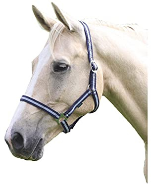 Shires Wessex Pony/Horse Headcollar Full Navy/Silver
