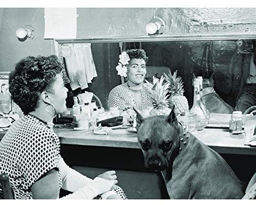 Bumblebeaver Vintage Photo Blues Jazz Music Singer Billie Holiday Poster Art Print Jahrgang Foto Blau Musik Urlaub Kunstdruck