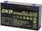 GBC, Batteria Piombo Skb 6V/12Ah Faston 4,8