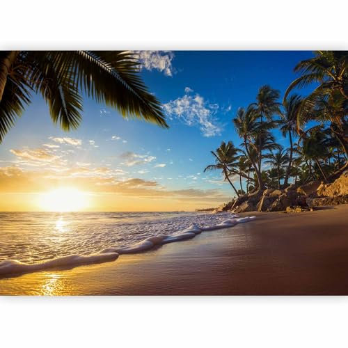 murando - Photo Wallpaper 350x256 cm / 137.8 x 96.5 - Non-Woven Premium Art Print Fleece Wall Mural Decoration Poster Picture Design Modern - Wall Beach Sea Tropical Landscape c-B-0078-a-a