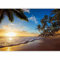 murando - Photo Wallpaper 350x256 cm / 137.8 x 96.5 - Non-Woven Premium Art Print Fleece Wall Mural Decoration Poster Picture Design Modern - Wall Beach Sea Tropical Landscape c-B-0078-a-a