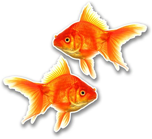 #6289 Vinyl-Aufkleber, Motiv: Goldfisch, 10 cm breit x 8,2 cm hoch, 2 Stück