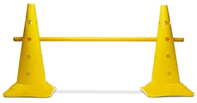 SPORTIKEL24 Kegelhürde 50 mit Stange 100 cm Farbe Gelb