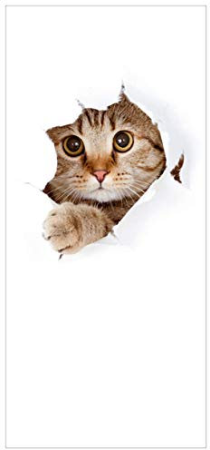 posterdepot ktt0162 Türtapete Türposter Katze mit Blick nach vorn-Größe 93 x 205 cm