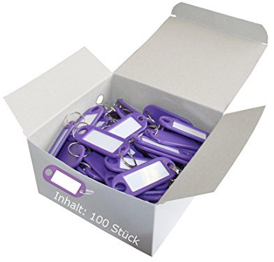Wedo 262801800 Porte-clés plastique (avec anneau, interchangeables Étiquettes) Lot de 100 Violett