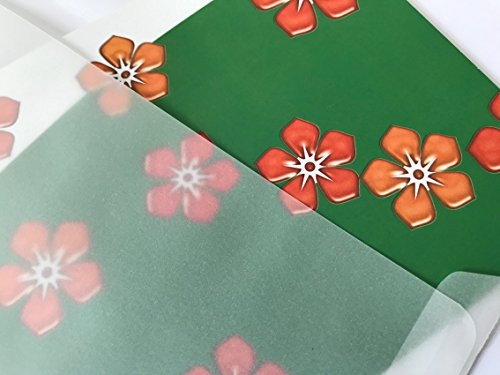 umschlag-discount – transparente Briefumschläge aus Pergamin-Papier für Infoschreiben, Gutscheine, Einladungen & Co – 500 Stück selbstklebende Briefkuverts mit den Maßen 229 x 162 mm (DIN C5)