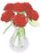 Crystal Puzzle | 3D Rote Rosen in der Vase Rot | Transparentes Design | 47 Teile | Bausatz für Kinder und Erwachsene | HCM Kinzel