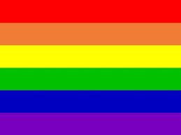 Bandera arcoiris orgullo gay, 150 x 90 cm tela 100% poliéster