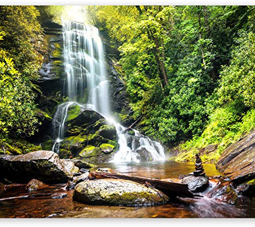 Wallpaper murando Photo 250x175 cm Non-Woven Premium Art Print Fleece Wall Mural Decoration Poster Picture Design Modern Nature Waterfall 10110903-41