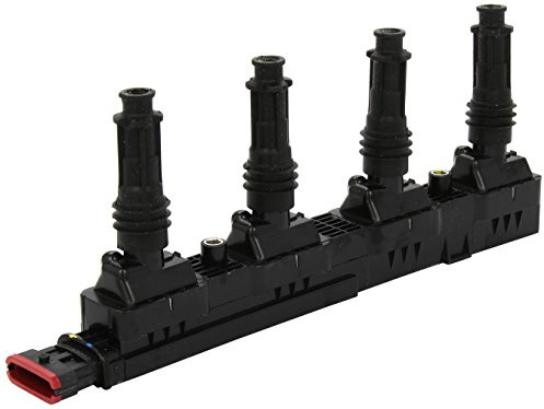 Delphi GN10207-12B1 Ignition Coil