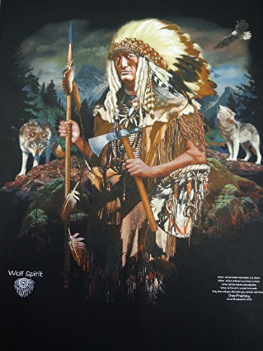 Bushfire textilposter Poster Indianer Wolf Spirit