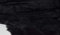 Fabrics-City SCHWARZ SOFTIG ZOTTY TEDDYFELL KURZHAARIG STOFF STOFFE, 4106