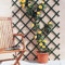 Treillis Nortene Trelliflex 1 x 2 m Vert PVC