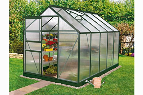 Vitavia Gewächshaus Venus 6200 HKP 6mm 6,2m², dunkelgrün