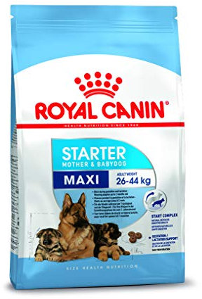 Royal Canin Maxi Starter Mother and Babydog 4 kg