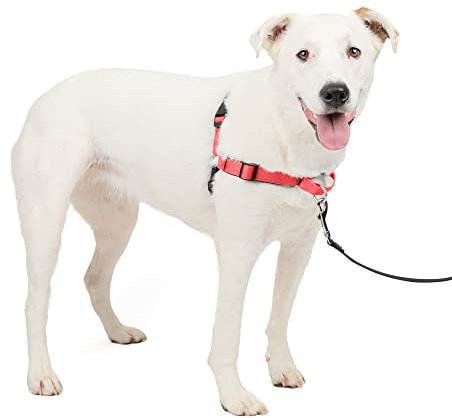 PetSafe Deluxe Easy Walk Hundegeschirr
