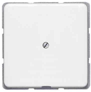 JUNG CD 590 A WW LEITUNGSAUSSLASS reinweiss CD590AWW