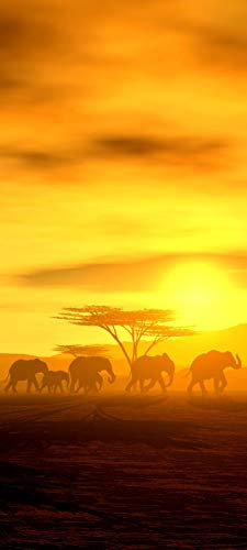 Bilderdepot24 Türtapete Die Wanderung der Elefanten 90 x 200 cm - einteilig Türaufkleber Türfolie Türposter - Tiere Tierbild