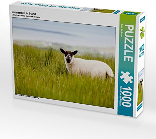 CALVENDO Puzzle Lämmerzeit in Irland | 1000 Teile Lege-Größe 64 x 48 cm Foto-Puzzle für glückliche Stunden